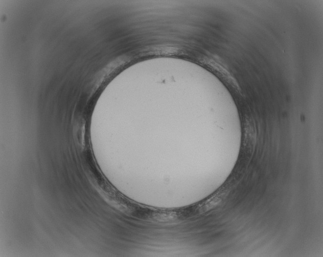 X0000061120110200512161449