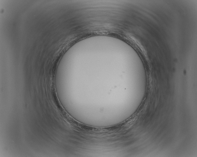 X0000061120113200512161449