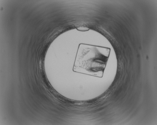 X0000061120117200512161449