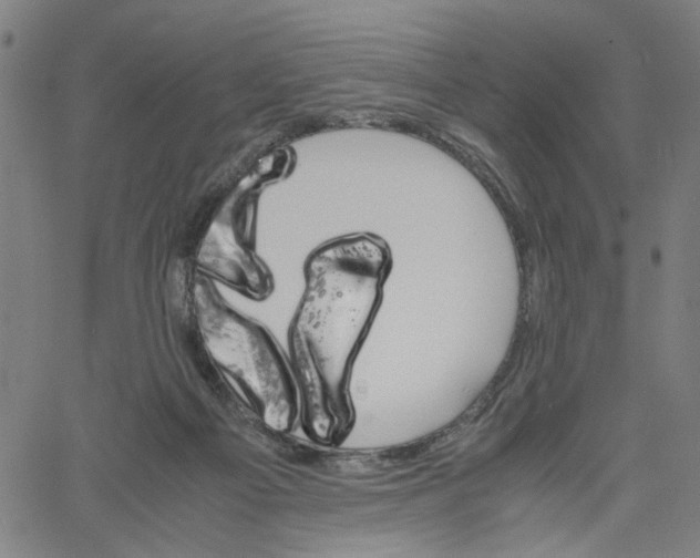 X0000061120121200512161449