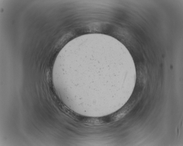X0000061120123200512161449
