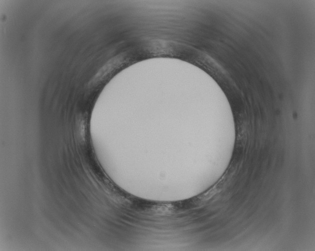 X0000061120124200512161449