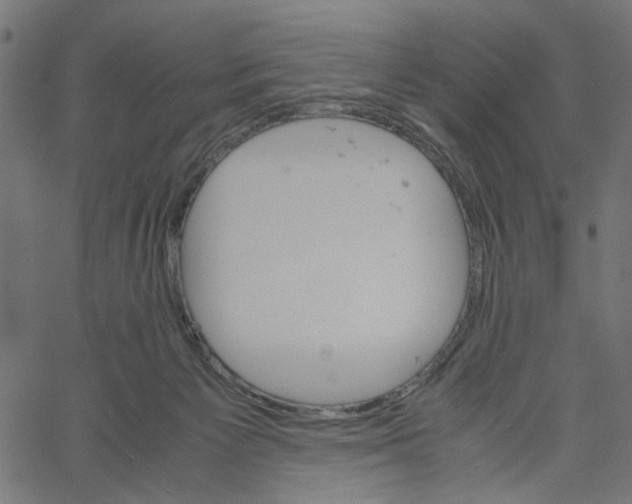 X0000061120125200512161449