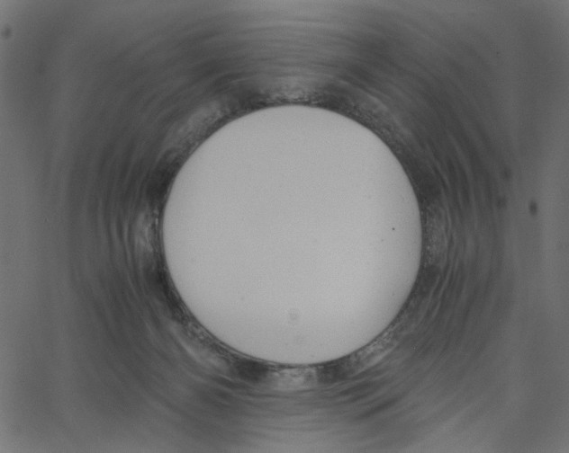 X0000061120126200512161449