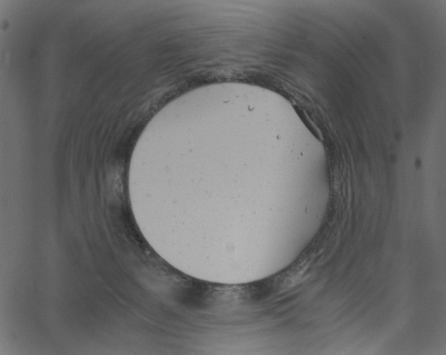 X0000061120127200512161449