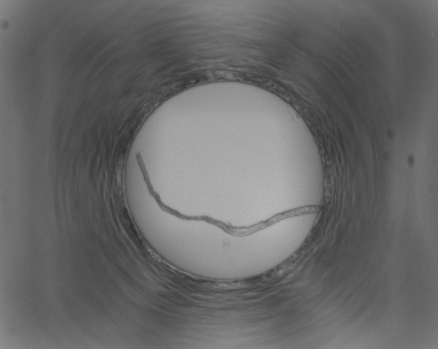 X0000061120129200512161449