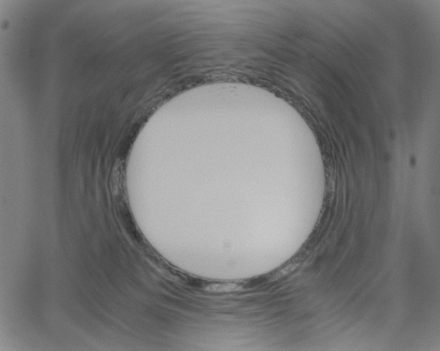 X0000061120133200512161449