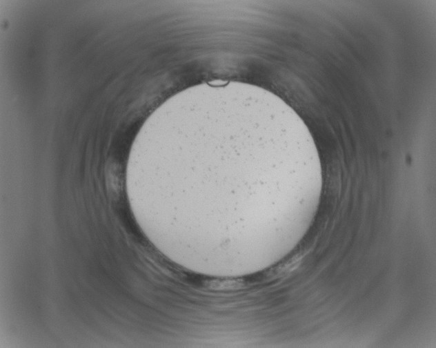 X0000061120135200512161449