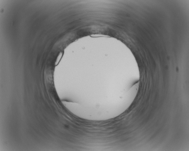 X0000061120137200512161449