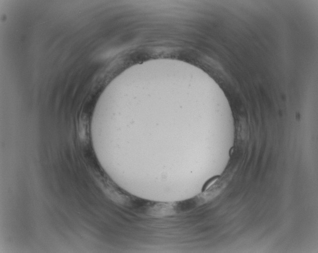 X0000061120138200512161449