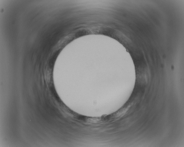 X0000061120139200512161449