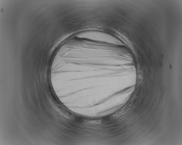 X0000061120155200512161448