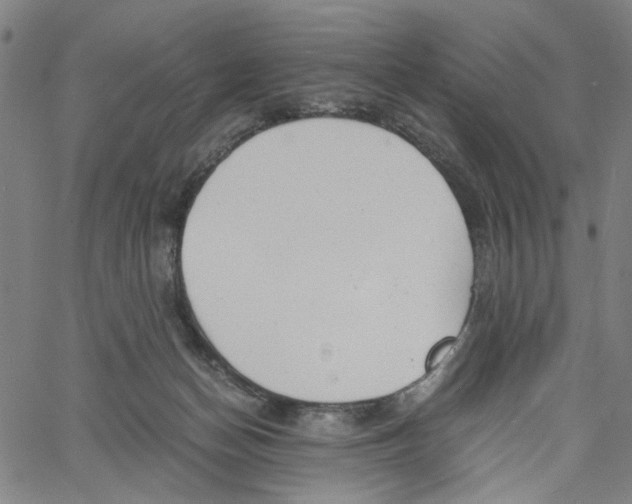 X0000061120174200512161448