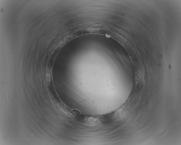 X0000061120180200512161448