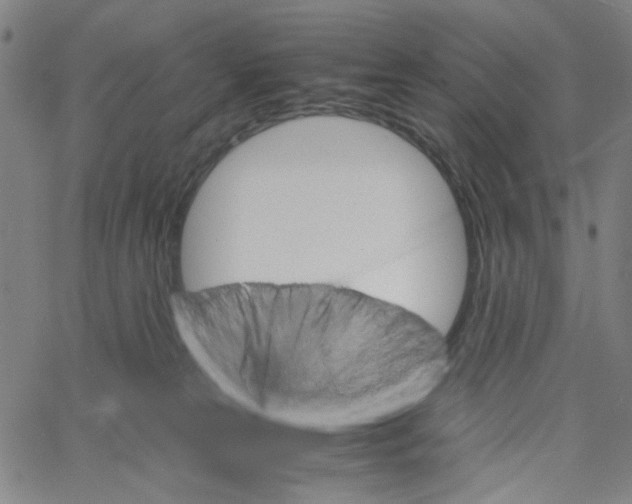 X0000061120181200512161448