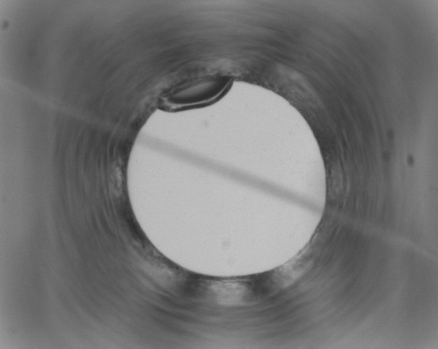 X0000061120183200512161448