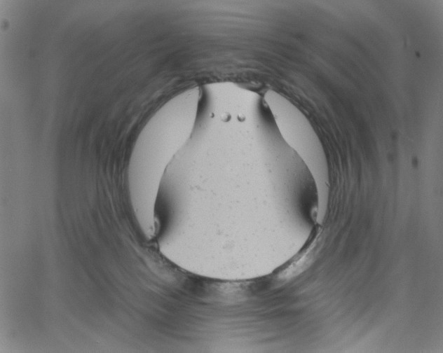 X0000061120184200512161448