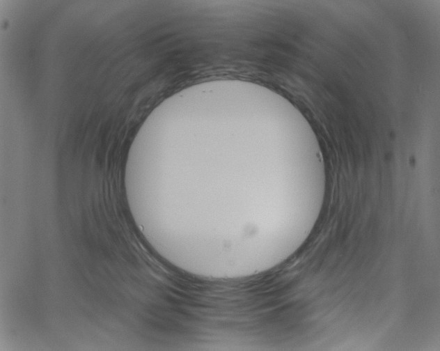 X0000061120185200512161448