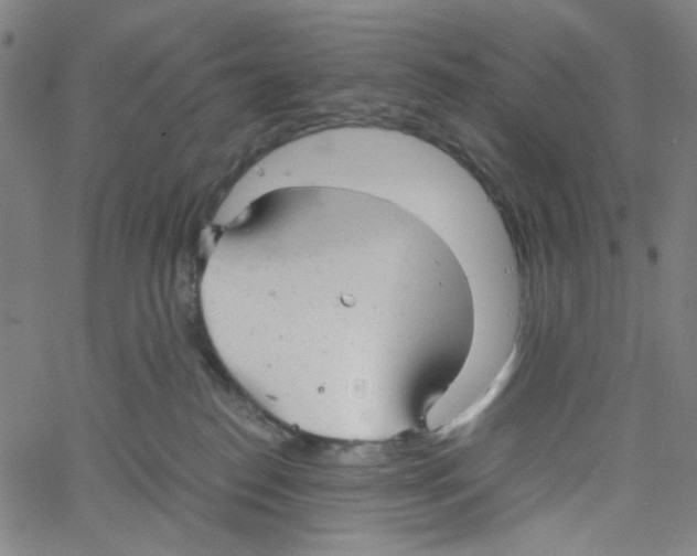 X0000061120186200512161448