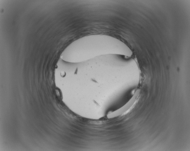 X0000061120187200512161448