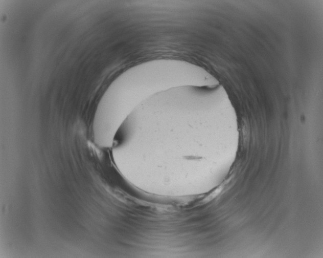X0000061120188200512161448
