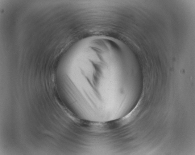 X0000061120192200512161449