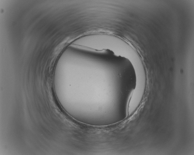X0000061120193200512161448