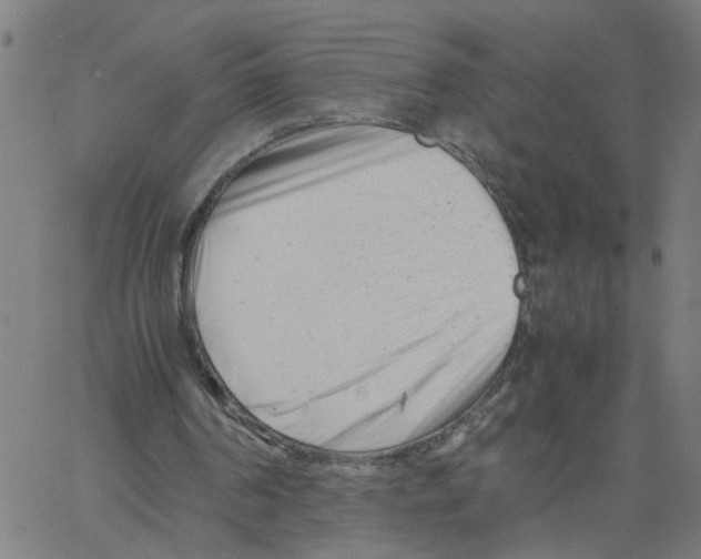 X0000061120194200512161448