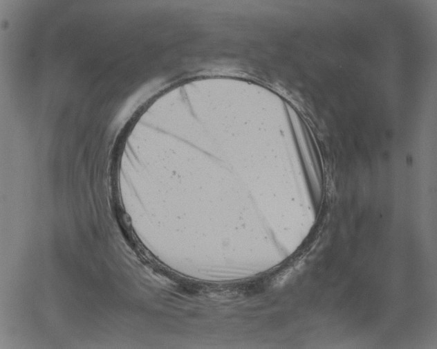 X0000061120199200512161448