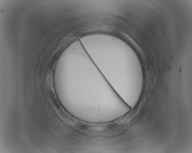X0000061120209200512161447