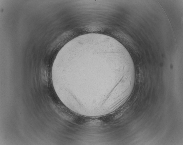 X0000061120210200512161447