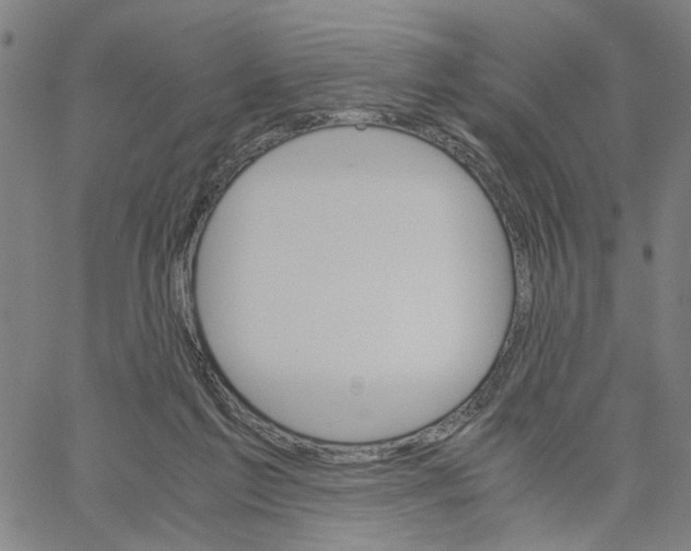 X0000061120213200512161447