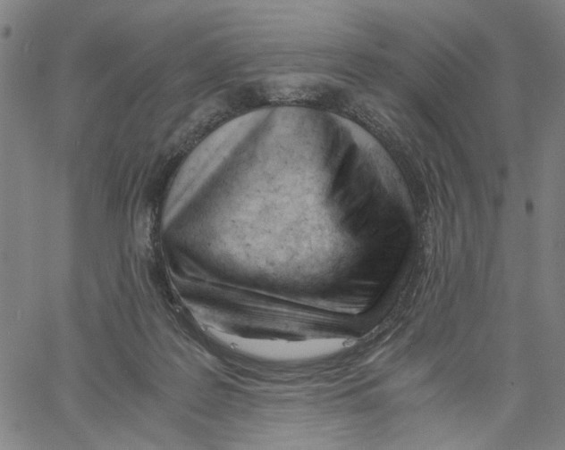 X0000061120219200512161447