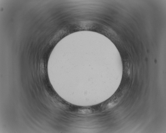 X0000061120220200512161447