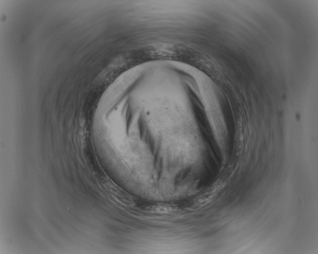 X0000061120223200512161447