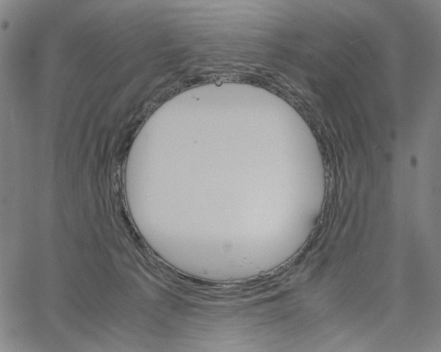 X0000061120225200512161447