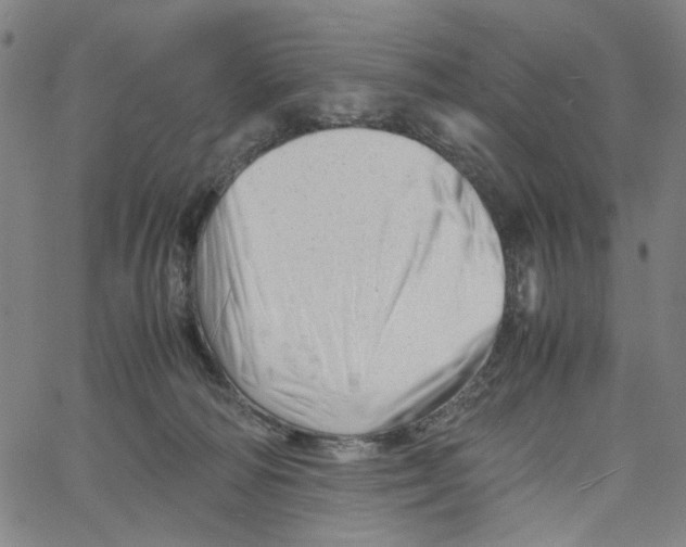 X0000061120226200512161447