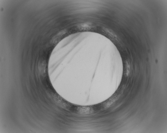 X0000061120230200512161447