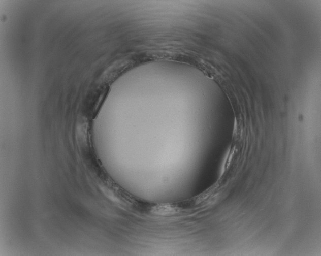 X0000061120231200512161447
