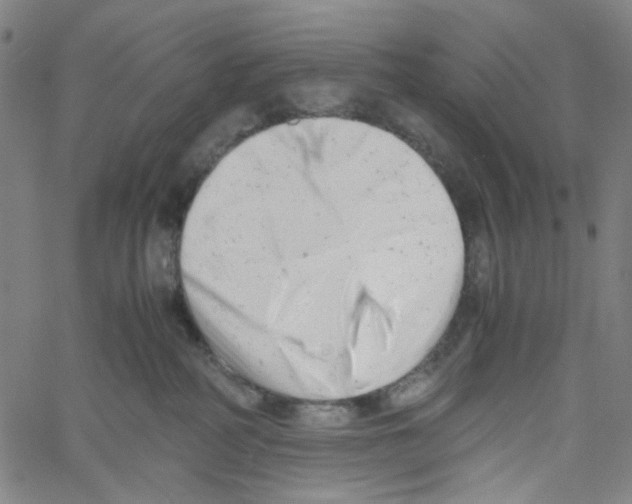 X0000061120234200512161447