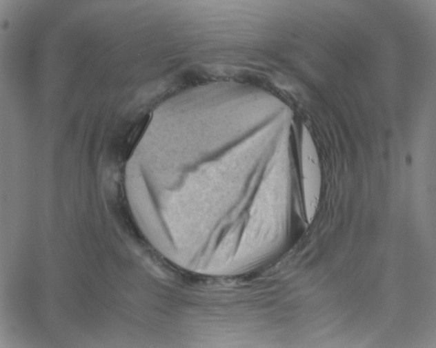 X0000061120235200512161447