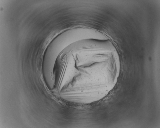 X0000061120241200512161446