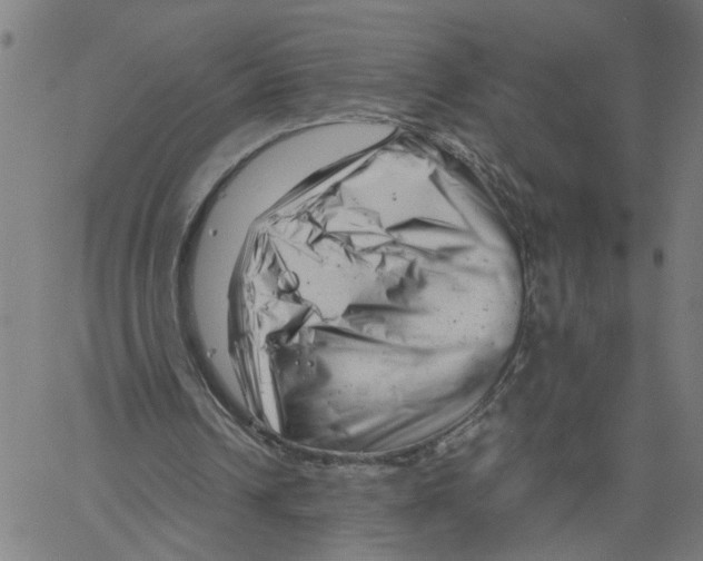 X0000061120242200512161446