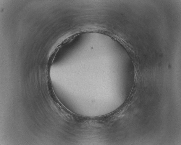 X0000061120244200512161446