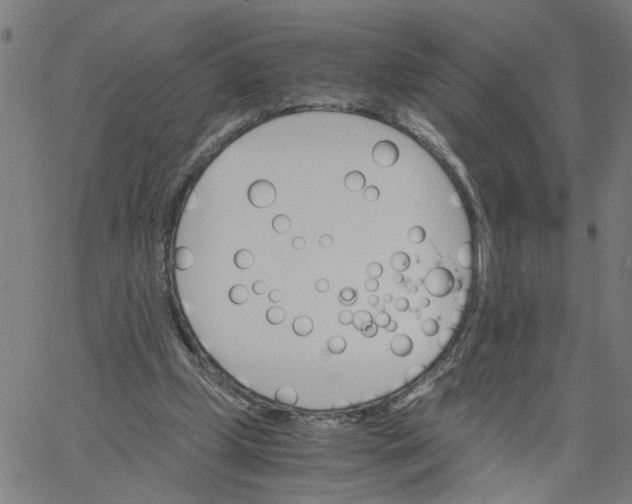 X0000061120249200512161446