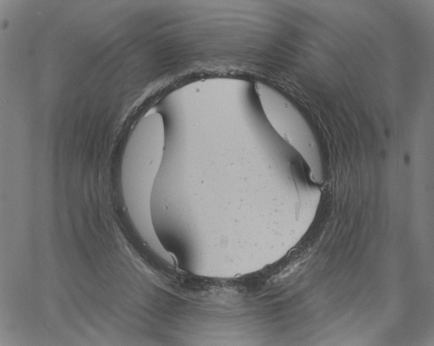 X0000061120256200512161446