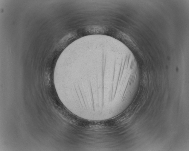 X0000061120259200512161446