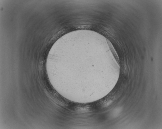 X0000061120263200512161446