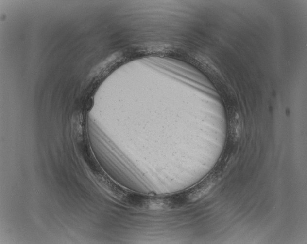 X0000061120264200512161446