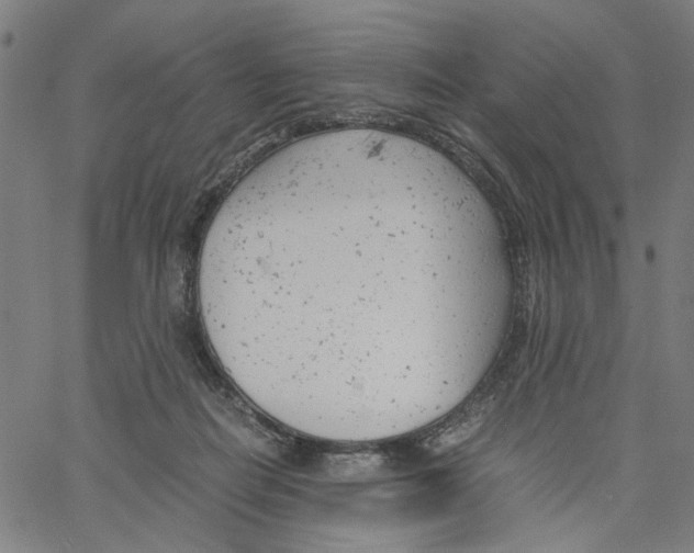 X0000061120266200512161447